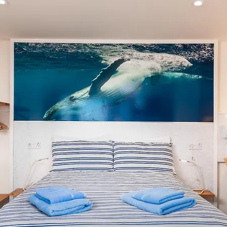 Compact Room, Free Private Parking